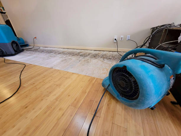 Professional Structural Drying technician working in Pala, CA